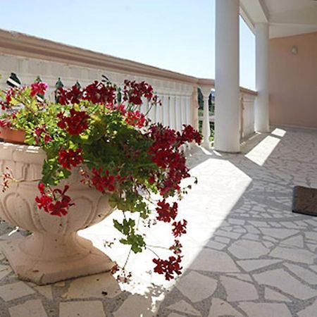 Di Vincenzo Inn Улцинь Экстерьер фото